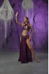 Professional bellydance costume (Classic 414A_1s)